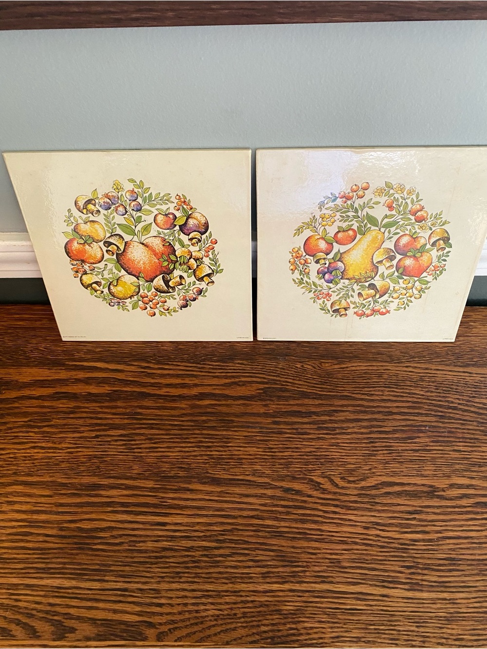 Vintage MCM Mushroom Fruit Motif Trivet Donald Art Co. Kitchen Decor Set of 2